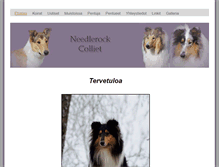 Tablet Screenshot of needlerock.kotisivukone.com